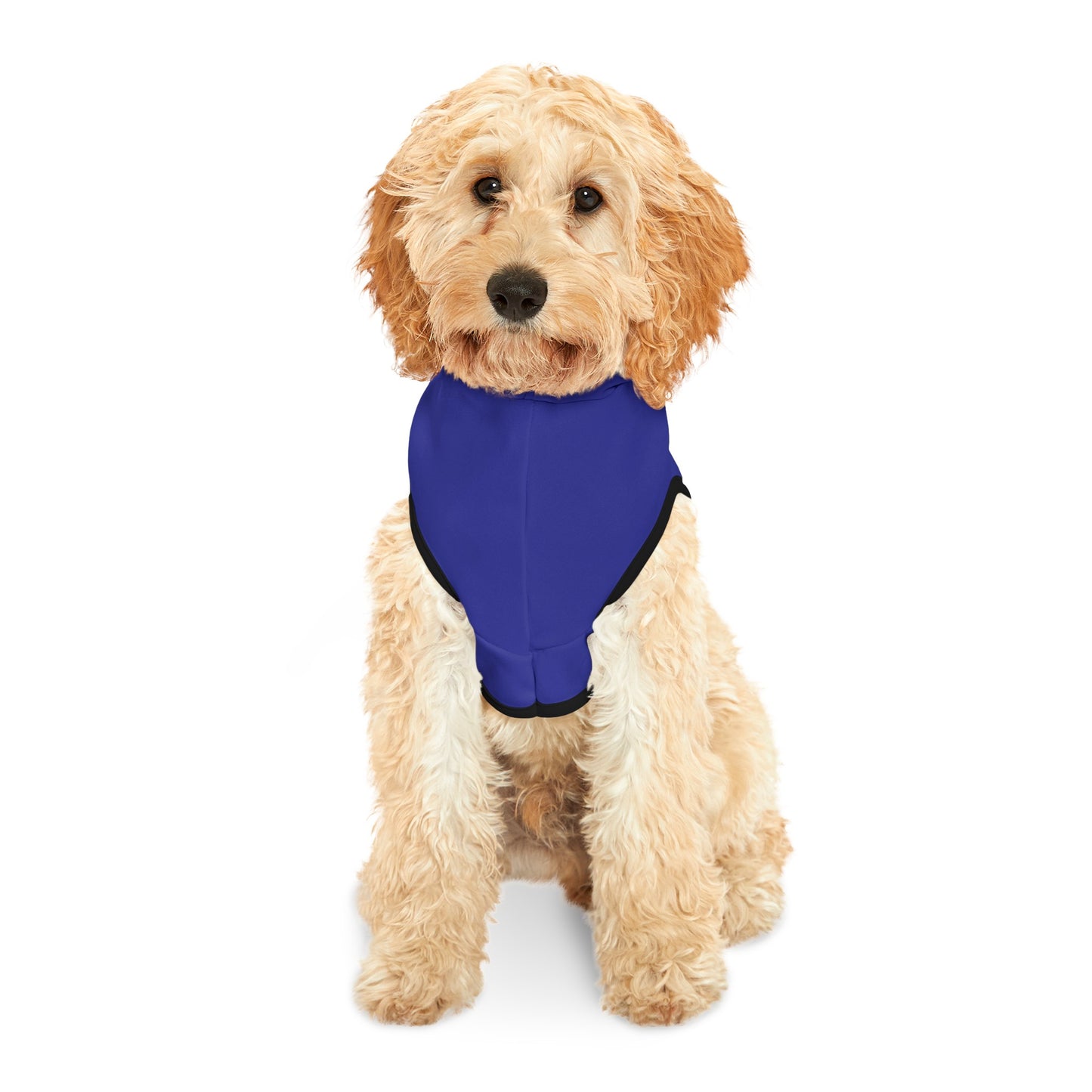 Kennedy Classic Pet Hoodie in Blue