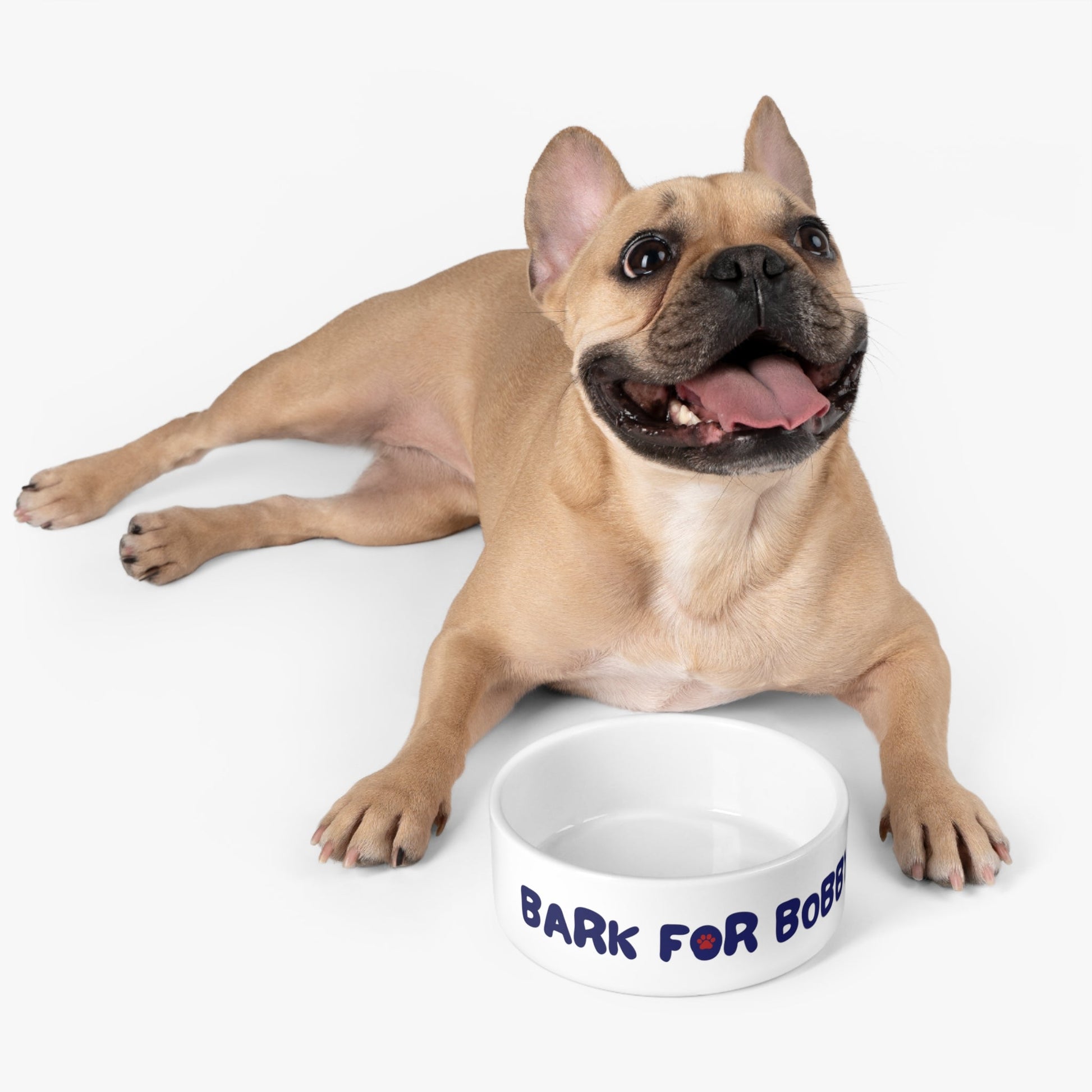 Bark for Bobby Pet Bowl - TEAM KENNEDY. All rights reserved