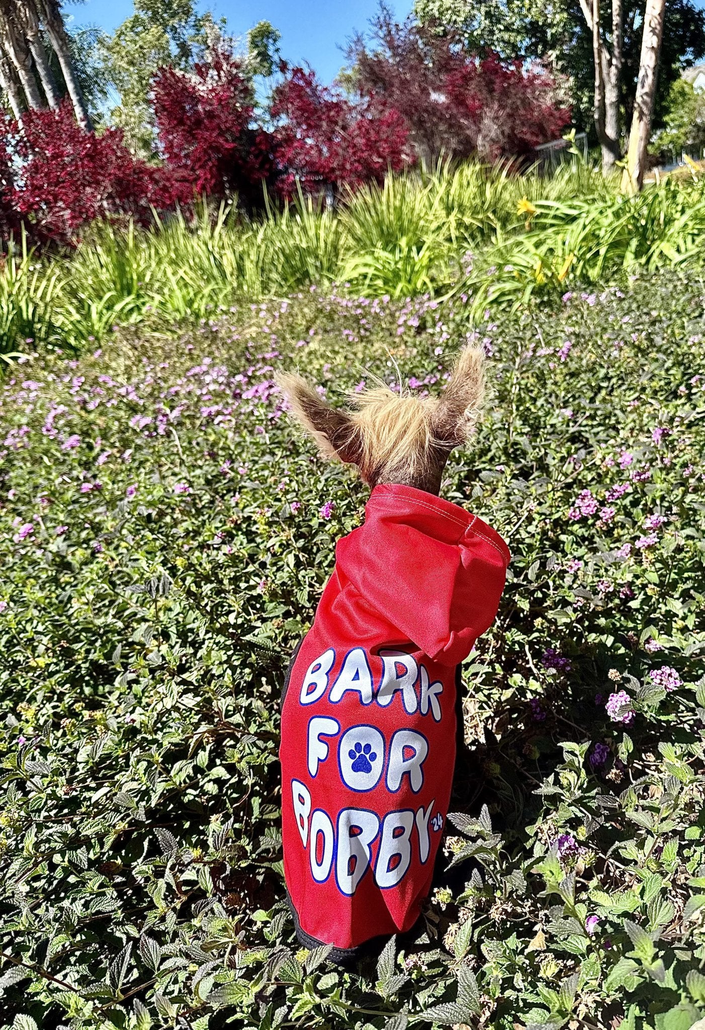 Bark for Bobby Pet Hoodie - TEAM KENNEDY. All rights reserved