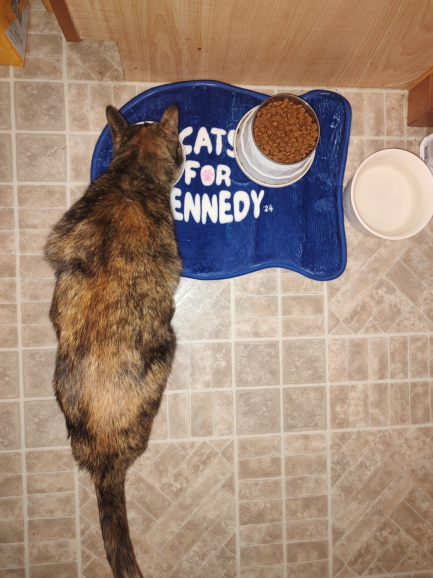 Cats for Kennedy Pet Feeding Mat | Navy - Team Kennedy Official Merchandise