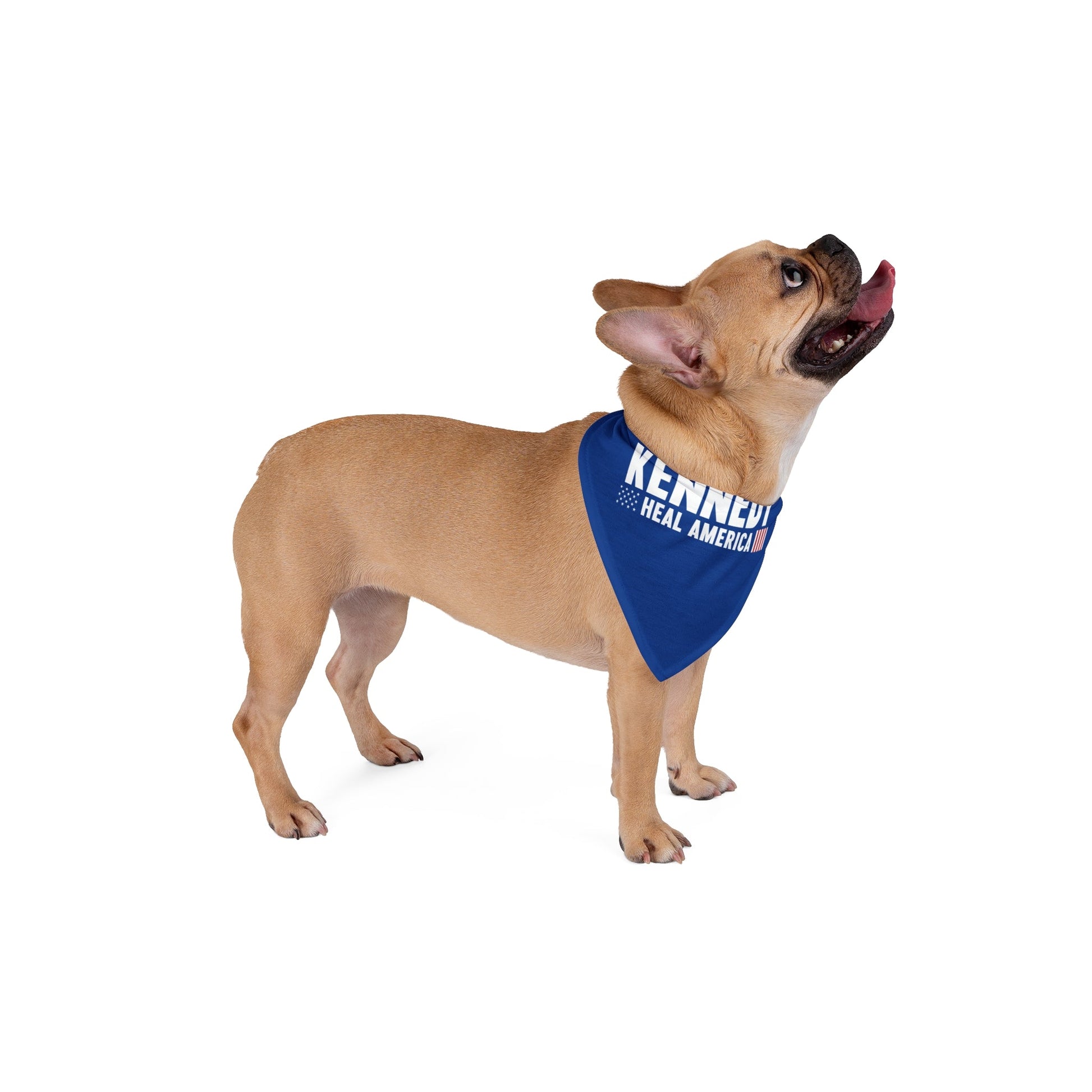 Heal America Pet Bandana - Team Kennedy Official Merchandise