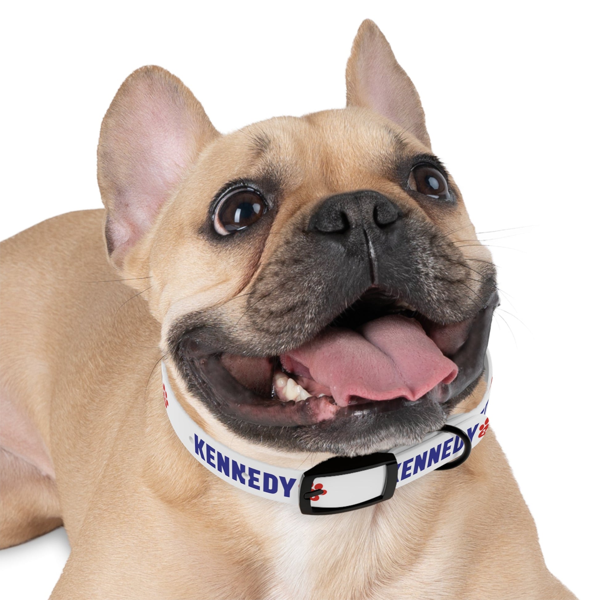 Kennedy '24 Dog Collar - TEAM KENNEDY. All rights reserved