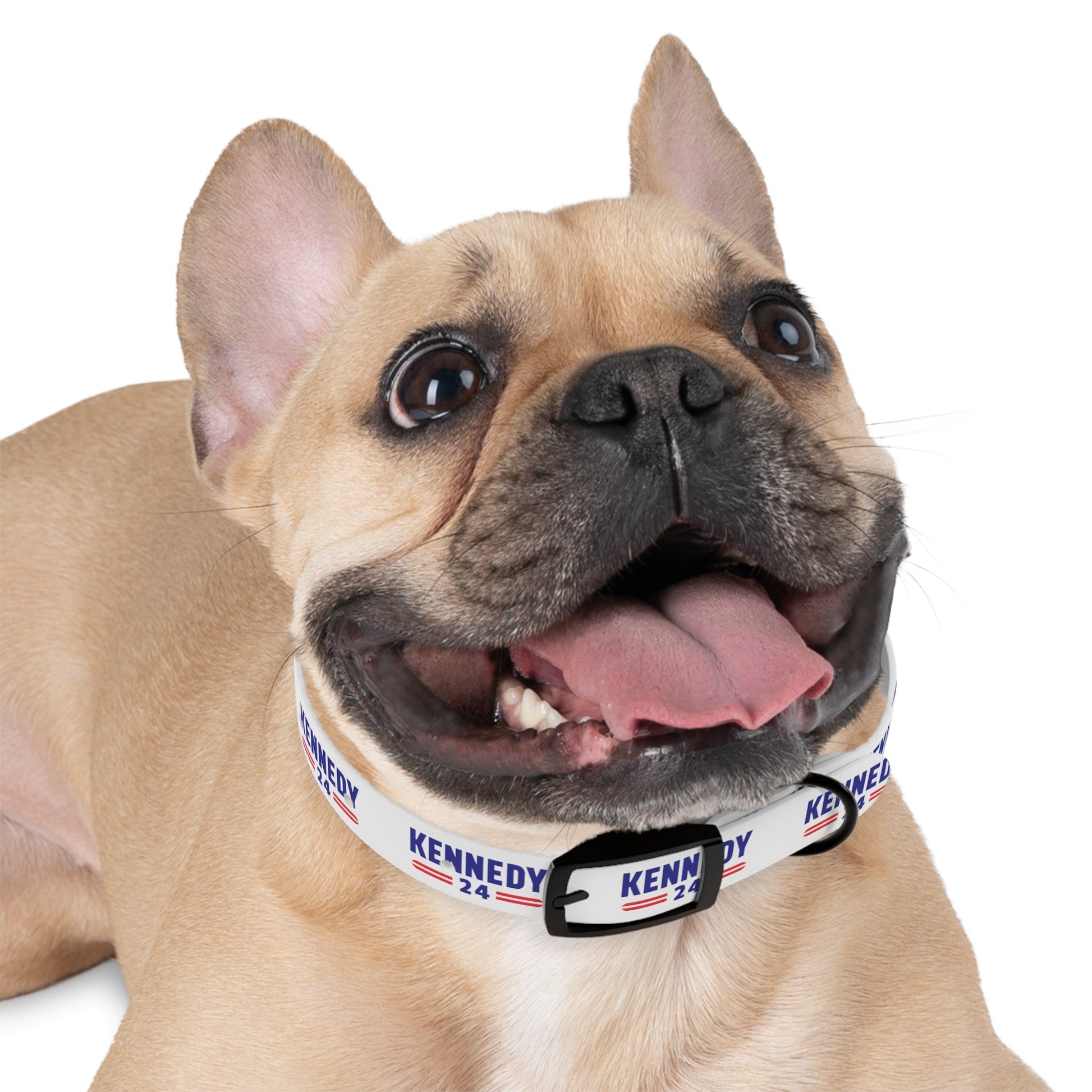 Kennedy Classic Dog Collar - TEAM KENNEDY. All rights reserved