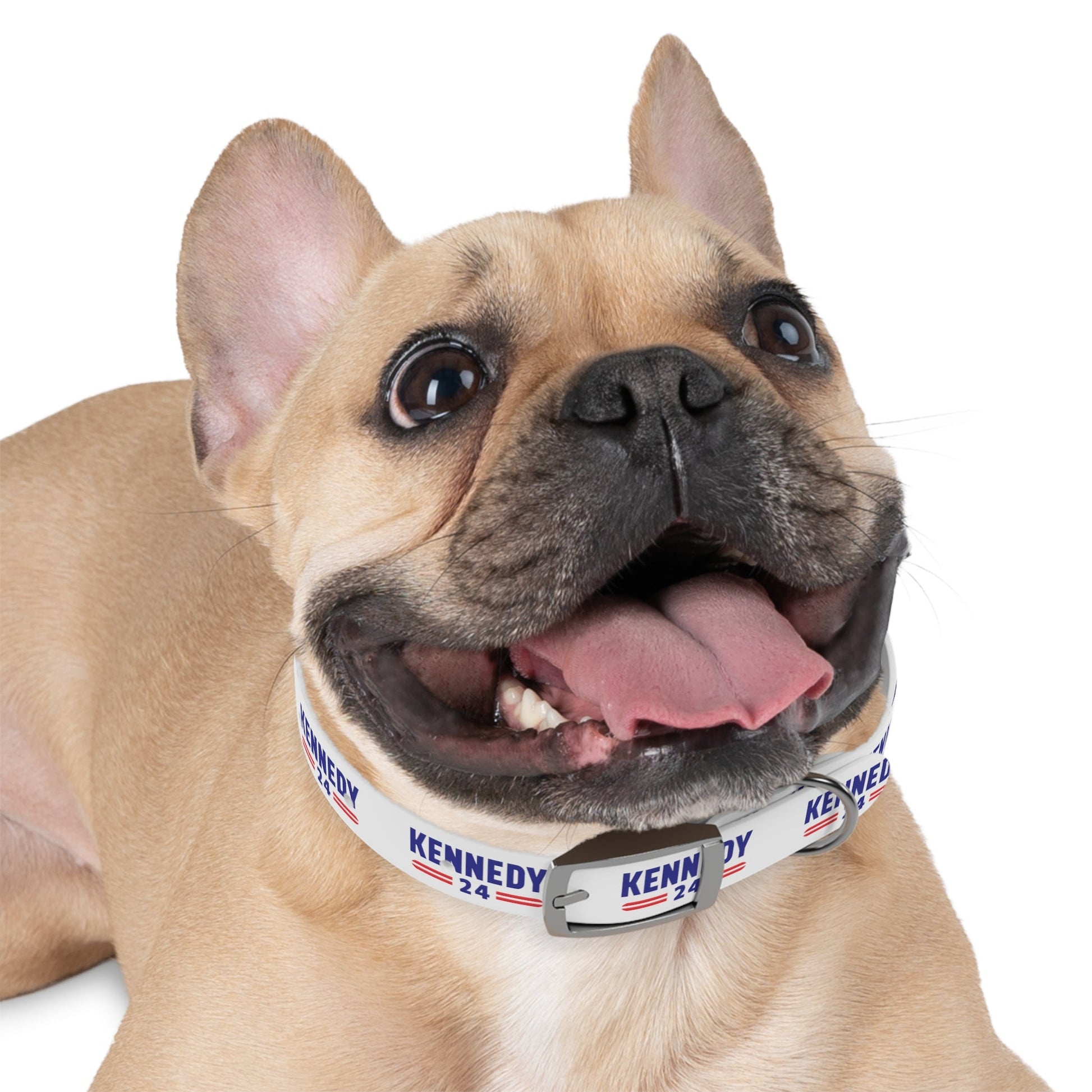 Kennedy Classic Dog Collar - TEAM KENNEDY. All rights reserved