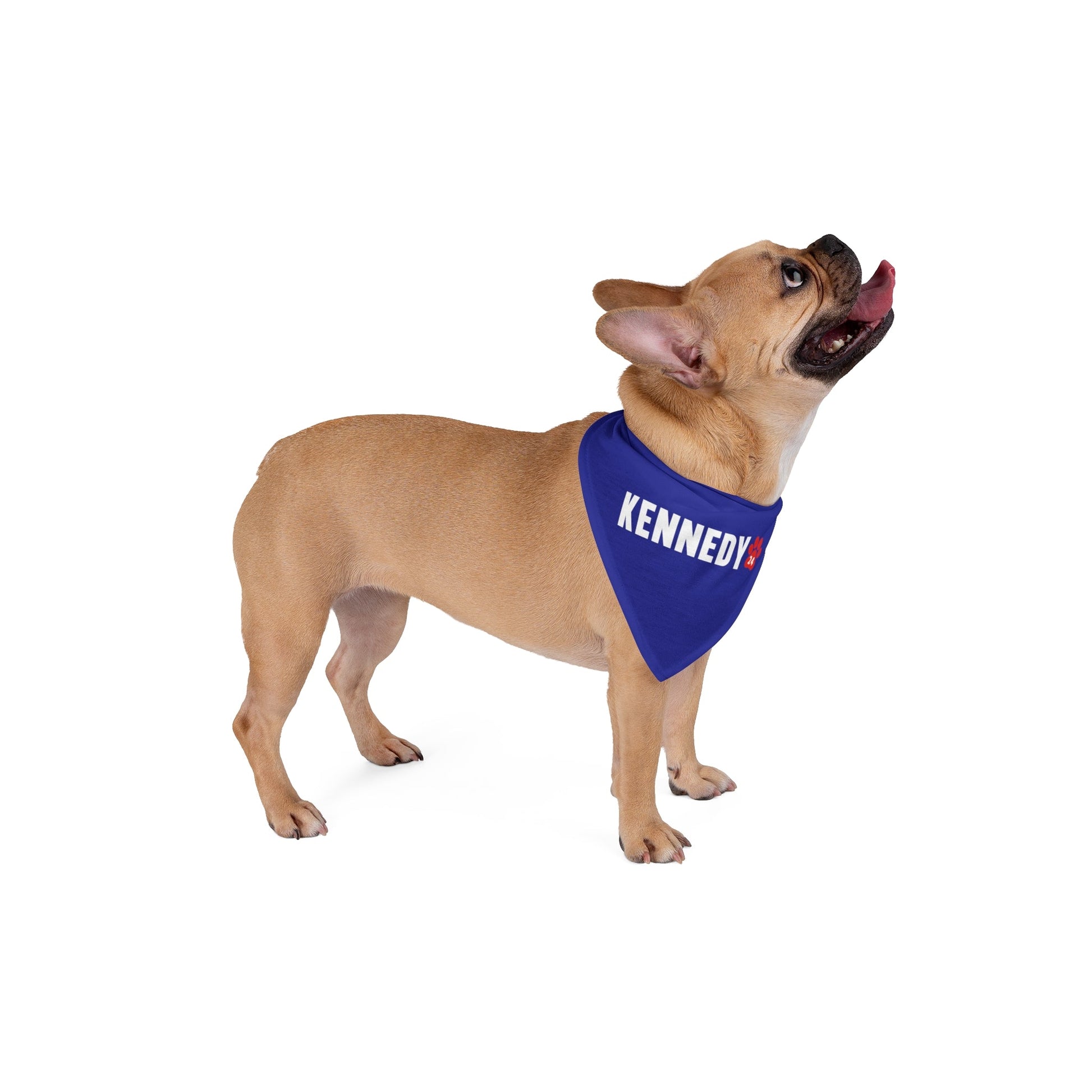 Kennedy Classic Pet Bandana in Blue - TEAM KENNEDY. All rights reserved