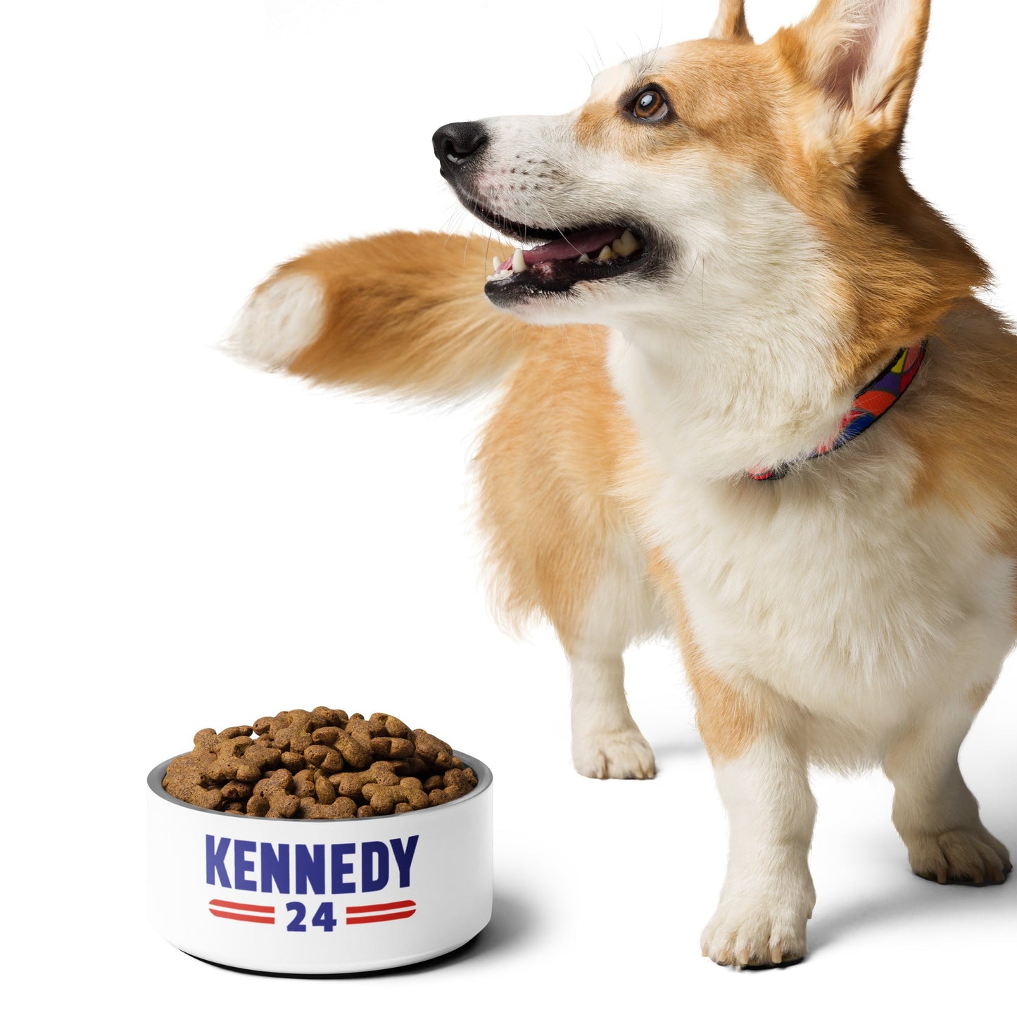 Kennedy Classic Stainless Steel Pet Bowl - TEAM KENNEDY. All rights reserved