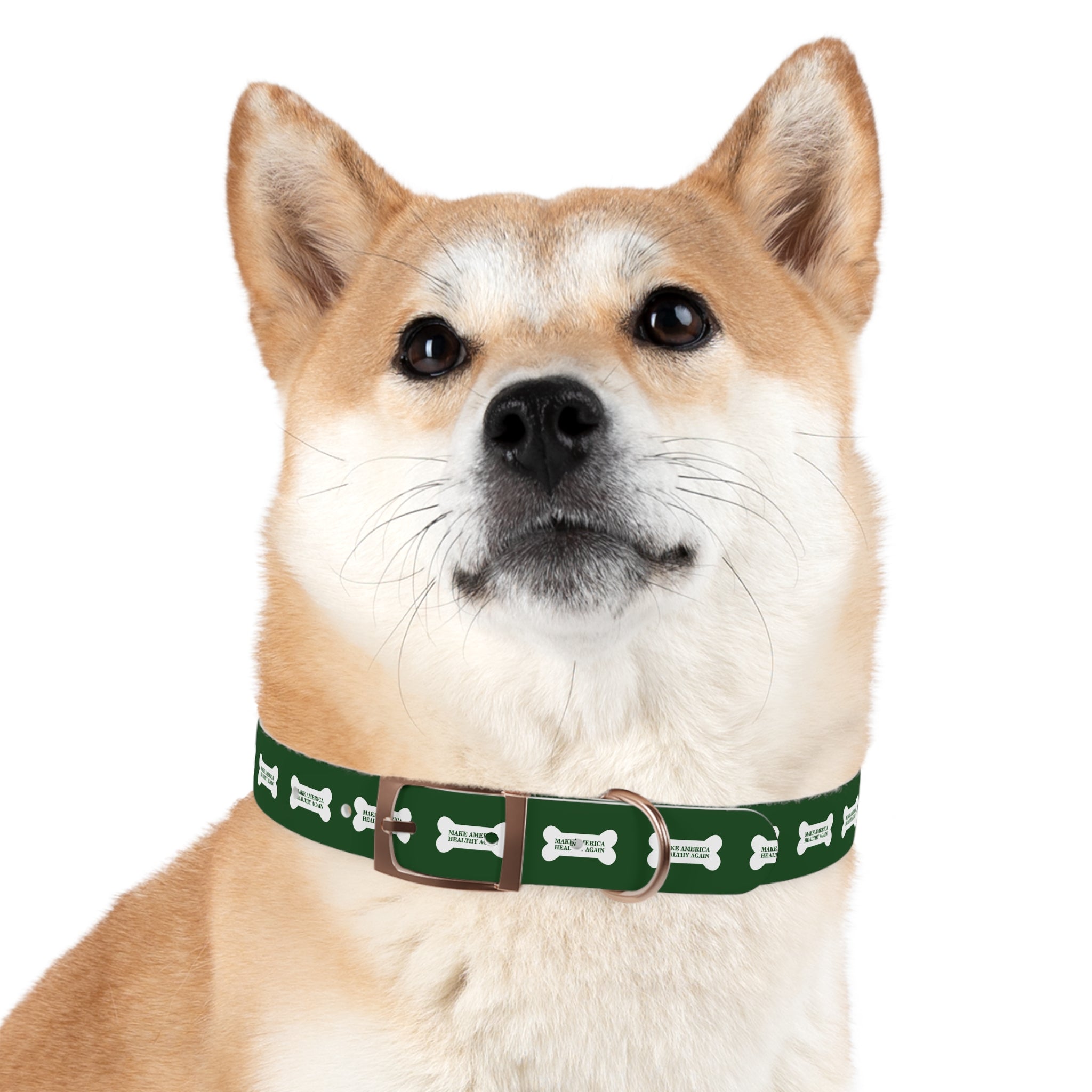 Make america great again dog collar best sale