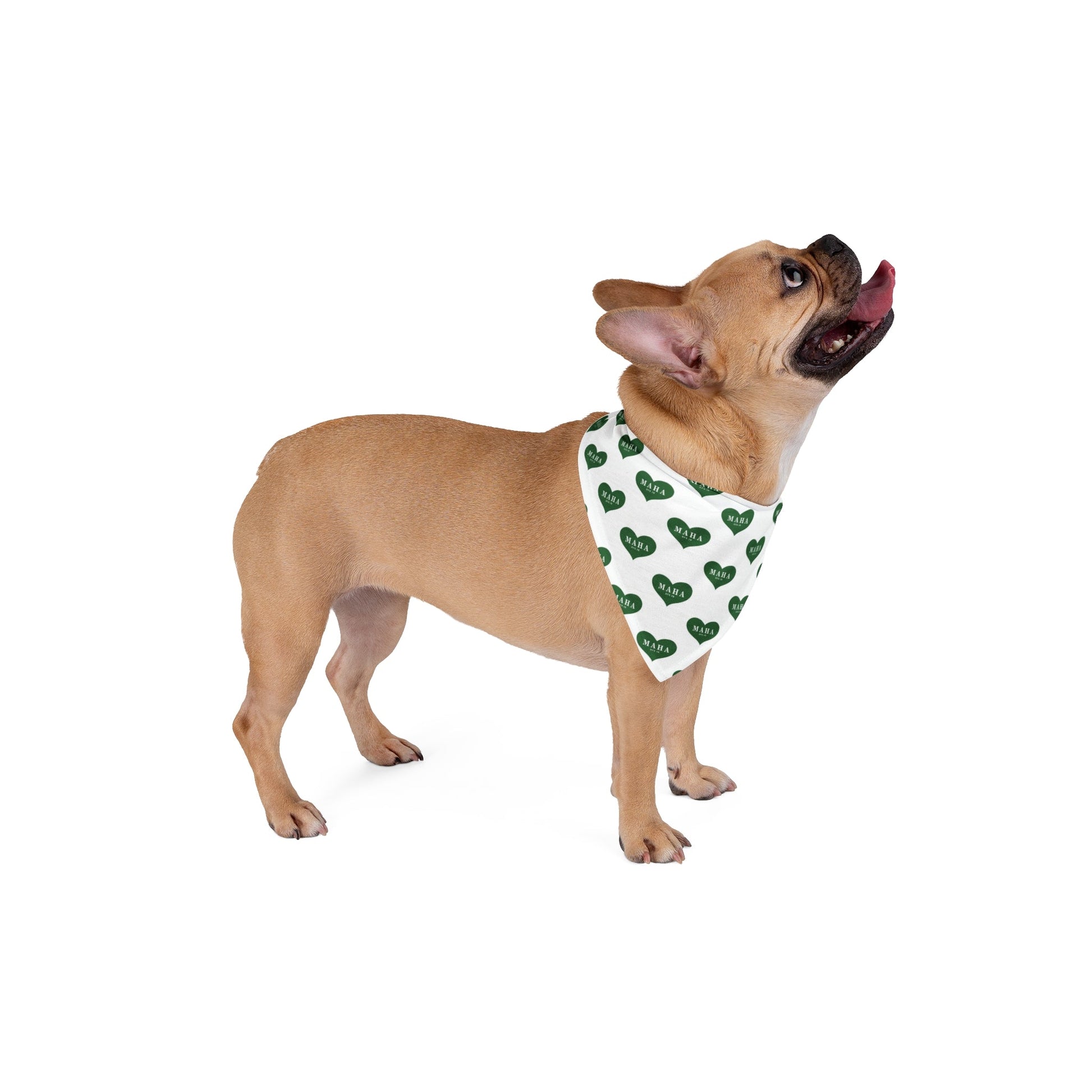 MAHA Heart Pet Bandana - Team Kennedy Official Merchandise