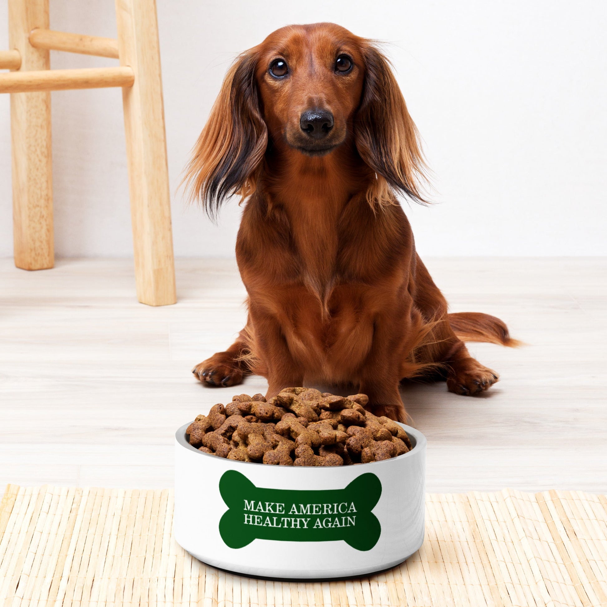 Make America Healthy Again Dog Bone Pet Bowl - Team Kennedy Official Merchandise